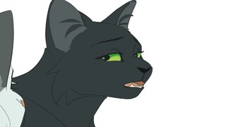 Hollyleaf gives some life advice