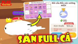 Thử Thách Săn Full Cá Trong Từ Điển Bách Khoa, Góc Lỗi TVT Câu Dính Hải Cẩu VM Kìa | Play Together