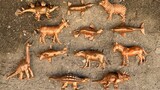 Searching Bronze animals, Dinosaurs - BabyClay