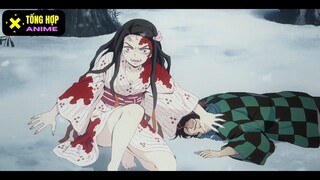 Dù đã biến thành quỷ, Nezuko vẫn quyết bảo vệ anh trai #anime#schooltime#anyawakuwaku