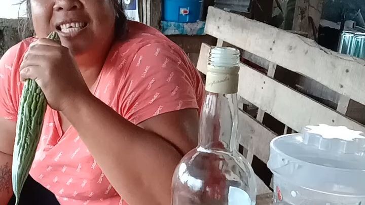 ampalaya