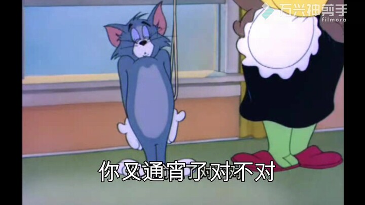 猫和老鼠：暑假最后一天