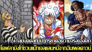 วันพีช - (สปอย1114) 14 กลุ่มบุคคลที่มีปฏิกิริยาต่อความจริงของโลก!? โดฟลามิงโก้ชวนแม็กเจลแลนหนี!?