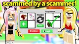 I GOT SCAMMED by a SCAMMER in adopt me.. | ROBLOX
