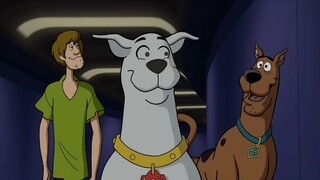 Scooby-Doo! and Krypto, Too! - Official Trailer - Warner Bros. Entertainment