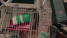 Zombieverse S01E02 (2023)