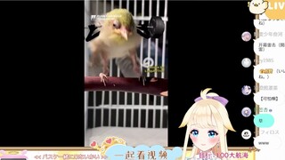 日本vtuber看加上特效的动物忍不住加上了配音