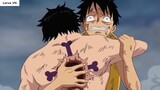 Đây Chính Là Người Đủ Sức Đánh Bại Luffy Nika_ _ Trùm Cuối Trong One Piece!!! 5