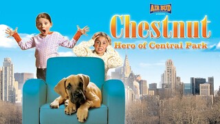 Chestnut Hero Of Central Park (2004)