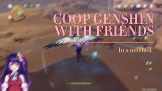 Coop Genshin in a Nutshell (1)