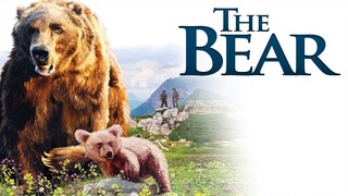 Watch movie [The Bear  Face to Face with the Bear (1988) Trailer] link in description: