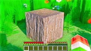 SUPER REALISTIC MINECRAFT VERSION! REAL LIFE MINECRAFT!