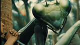 (ภาพยนตร์) เมื่อพวกเขาเข้าไปในป่าที่มีไดโนเสาร์และแมลงยักษ์อาศัยอยู่ 
