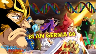 Bí ẩn về Germa 66: Những người anh em của Sanji có thực sự vô cảm #onepiece