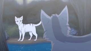 Graystripe x Silverstream AMV- Hymn for the Missing