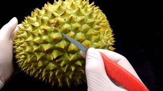 Durian juga bisa dipahat? Kau ini Tangan Dewa atau Tangan Iblis?