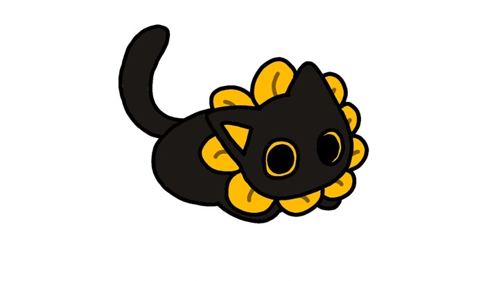 Maxwell cat. But Sunflower