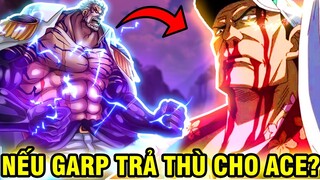 NẾU GARP TRẢ THÙ CHO ACE?! | LIỆU GARP CÓ ĐẤU LẠI SAKAZUKI?