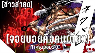 [ข่าวใหม่ล่าสุด] - จอยบอยคือคนเดียว ที่ไคโดยอมรับ....!? - วันพีช