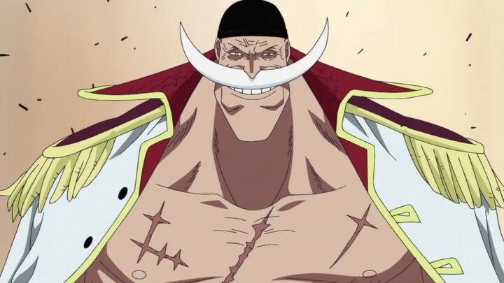 [One Piece] Kekuatan buah manusia super terkuat, keterampilan tersembunyinya bahkan lebih tak terkal