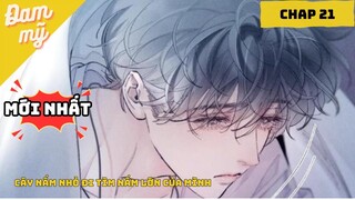 CHAP 21 | Truyện tranh:  Nấm Nhỏ  | Review Đam Mỹ