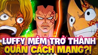 LUFFY ĐÃ MÉM TRỞ THÀNH QUÂN CÁCH MẠNG?! | DRAGON NGĂN CHẶN LUFFY LÀM QUÂN CÁCH MẠNG TỪ KHI CÒN BÉ?