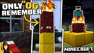 Do you Remember THIS OG Mod for Minecraft?!?