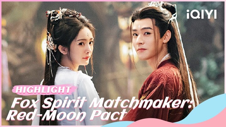 Highlight: Tushan Honghong Loses Her Memory💔| Fox Spirit Matchmaker: Red-Moon Pact | iQIYI Romance