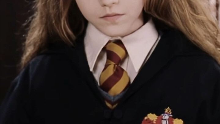 "Kepala Sekolah Hogwarts"