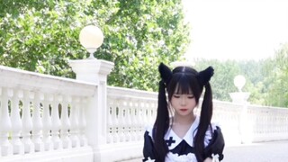 Do you like cats? 「うに」