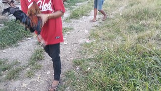 nice one