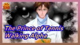 The Prince of Tennis|[F4/Super Handsome] Walking Alpha Ministerial Corps（Flesh)