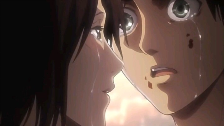 "Mikasa, aku paling membencimu"