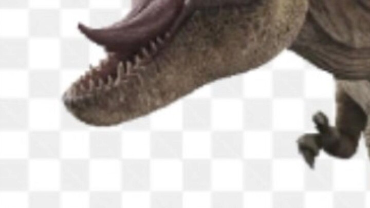 all dinosaurs edit