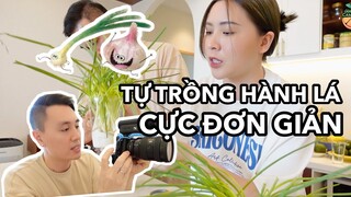 TRỒNG HÀNH LÁ CỰC DỄ MÙA DỊCH , LÀM MÓN HÀU NƯỚNG TỪ HÀNH TỰ TRỒNG , SƠ SƠ GÓC LÀM VIỆC CỦA BỐ CAM.