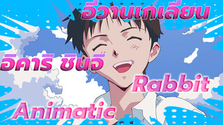 [อีวานเกเลียน Animatic] อิคาริ ชินจิ - rabbit