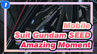 [Mobile Suit Gundam SEED] Amazing Moment!_1