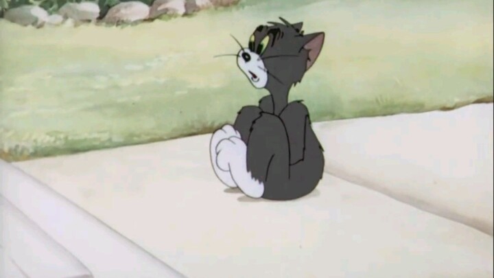 Tom & Jerry - The Zoot Cat