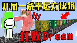 开局一条幸运方块路！该如何赚够1个亿，打败Dream！