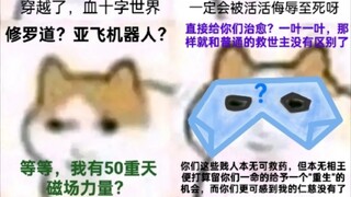 磁场多元宇宙•猫龙行动