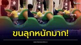พ่อแม่ดูคลิปลูกน้อย หลังพาไปเล่นบ้านบอล ซูมดูยิ่งหลอน เสียงแตกทั้งโซเชียล | Thainews - ไทยนิวส์