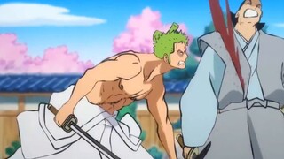 Video ini menunjukkan betapa kuatnya Zoro!