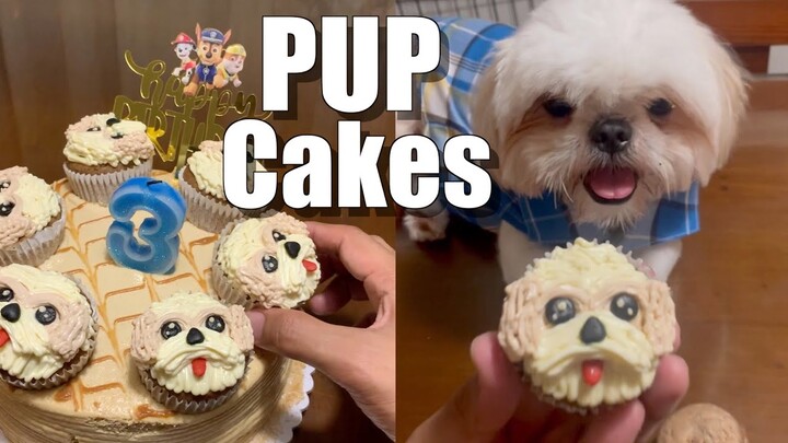 My Shih Tzu Dog Eats His Birthday PUPcake ( Cute & Funny Dog Video)