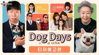 Dog Days Korean Film 2024 (English Sub)