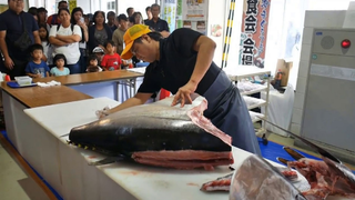 Xem chuyên gia mổ cá Nhật Bản làm thịt con cá ngừ đại dương khổng lồ | Food Kingdom