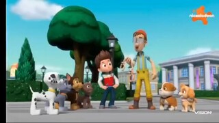 Paw Patrol Musim 9 Episode 19 dan Episode 20 Bahasa Indonesia Vision+