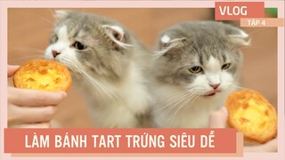 LÀM BÁNH TART TRỨNG SIÊU ĐƠN GIẢN CÙNG CÁC BÉ MÈO | The Happy Pets Vlog #4