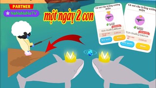 (Play Together) Test Vị Trí "Mới" và Cách Câu "Một Ngày 2 Con" CÁ VOI RÂU TRẮNG VƯƠNG MIỆN