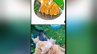 Cột sống thường ngày của boss 😄mèo cute foryou