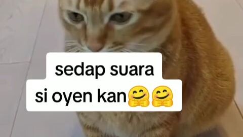 soo cute 🥰